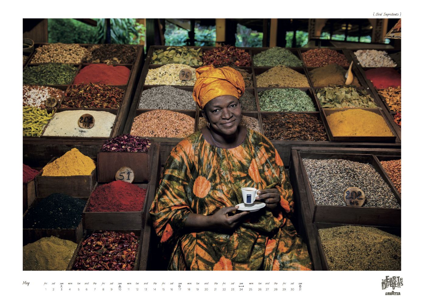 THE EARTH DEFENDERS – THE 2015 LAVAZZA CALENDAR BY STEVE McCURRY