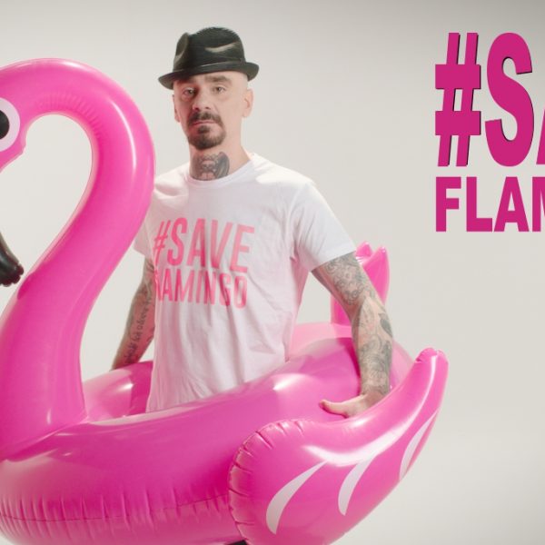 WWF, J-AX AND ARMANDO TESTA TOGETHER TO PROTECT PINK FLAMINGOS