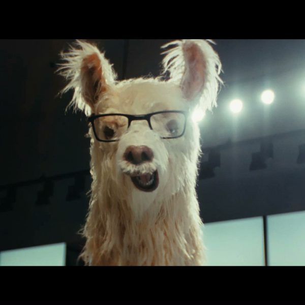 “No problama! There’s Lama!”:   Lama Optical’s new promotional campaign is by Armando Testa.