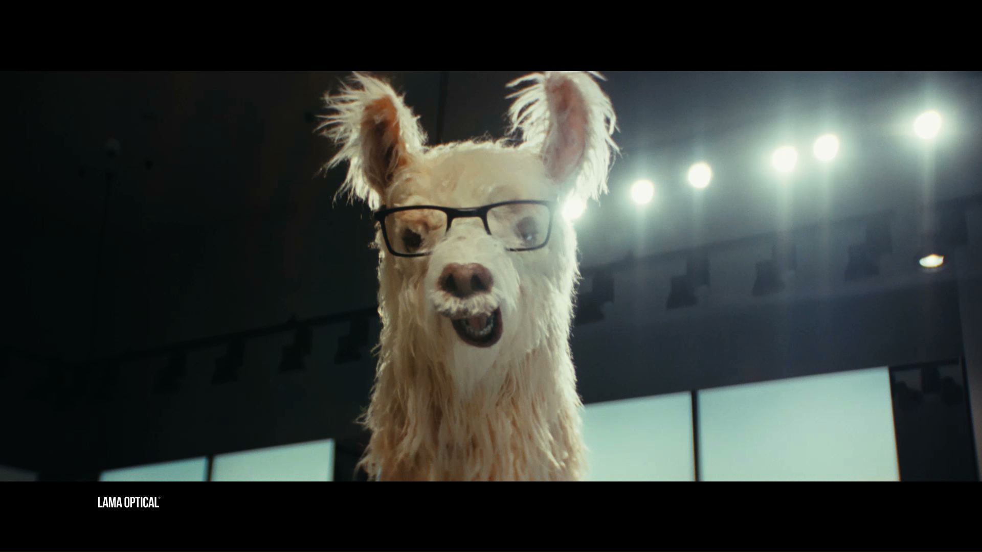 “No problama! There’s Lama!”:   Lama Optical’s new promotional campaign is by Armando Testa.